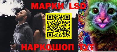 стаф Сланцы