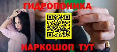 стаф Сланцы