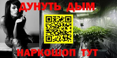 стаф Сланцы