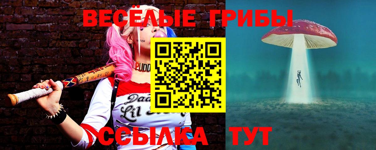 магазин продажи   Вход с VPN  Богородск  Псилоцибиновые грибы MAGIC MUSHROOMS 
